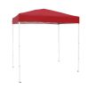 Slant-Leg Canopy Accessory Pack;  Gray (10' x 10' Slant-Leg Canopy Sold Separately)