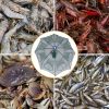 Portable Folded Fishing Bait Trap Fishing Trap Net